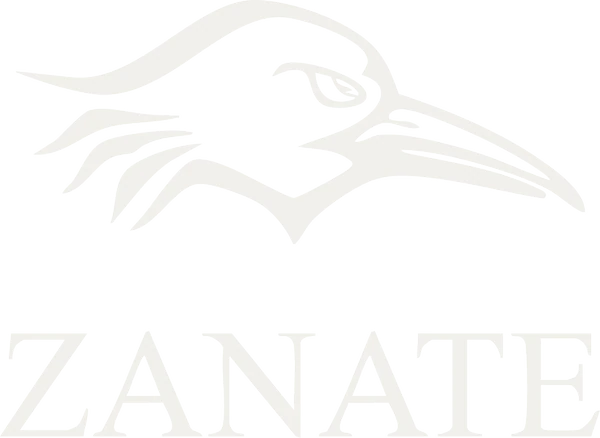 Zanate Botas